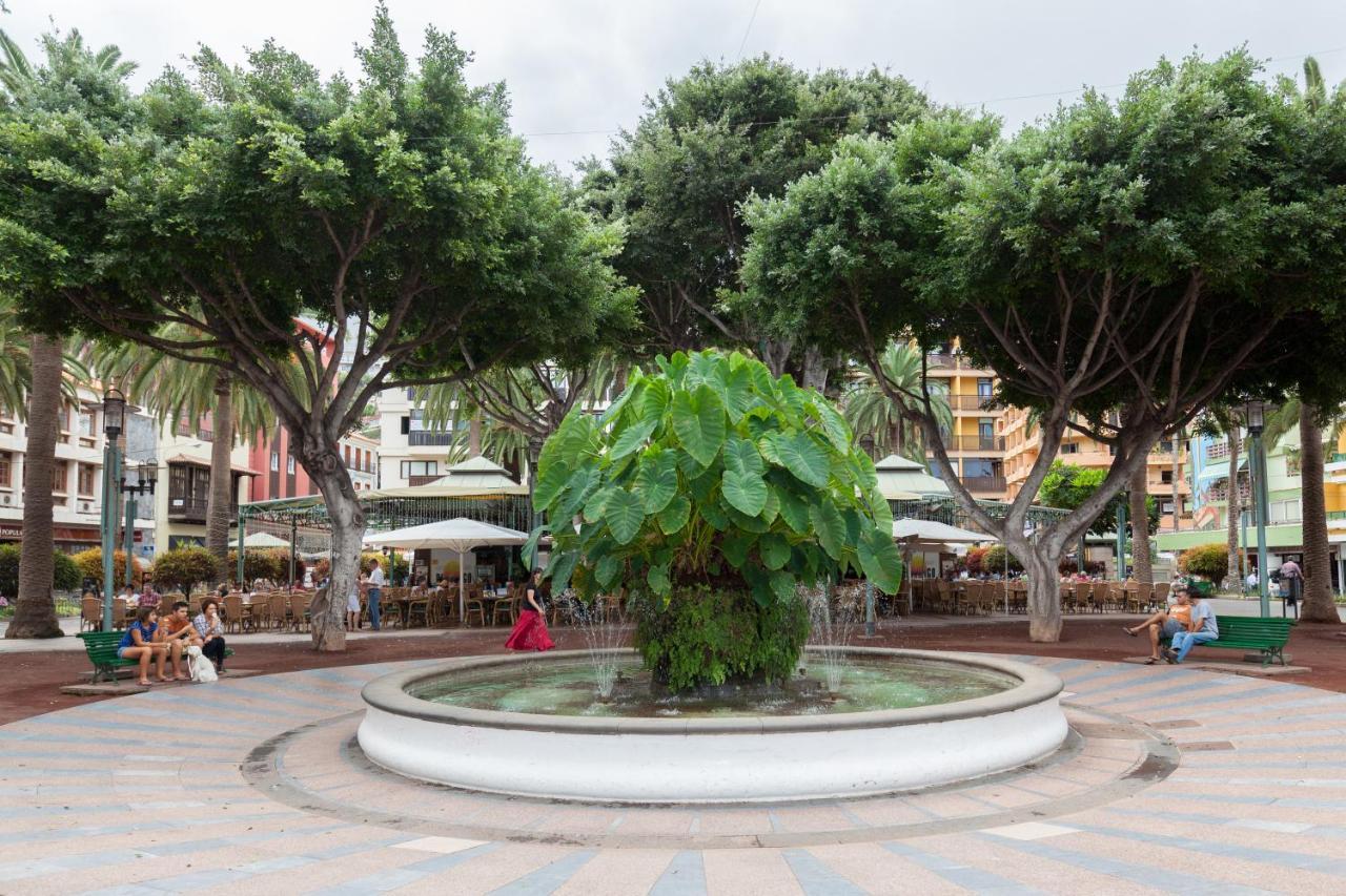 Magnolia House Apartment Puerto de la Cruz  Ngoại thất bức ảnh